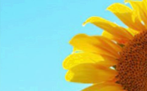 ���տ���־�Z��