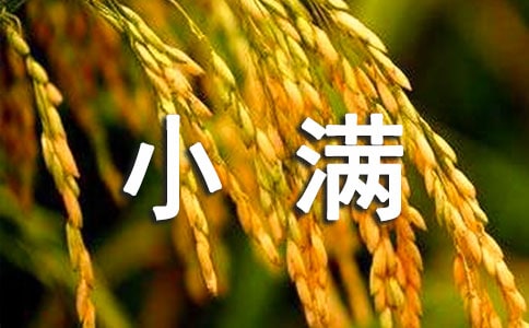 小滿節(jié)氣優(yōu)美文案