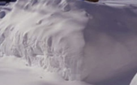 ������ѩ�ĺ����Y