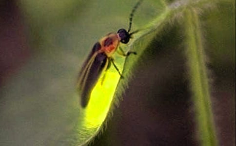 Ξ���x������\