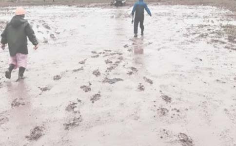 華北油田采油二廠實習報告