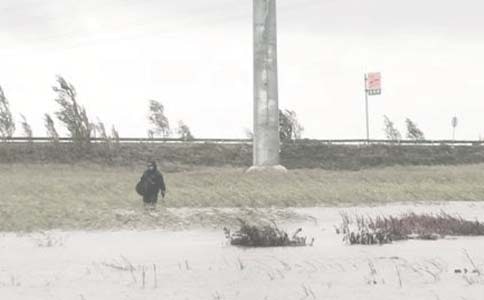 ��΢���ѭ�h�ľGɫ��������}����