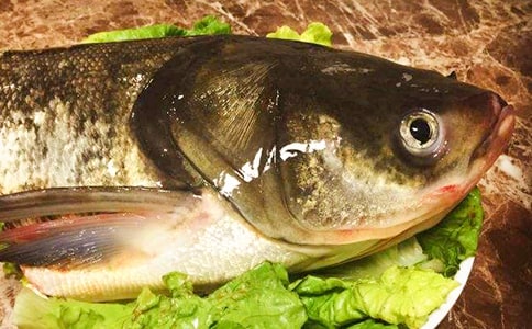 媽媽喜歡吃魚頭四年級讀后感