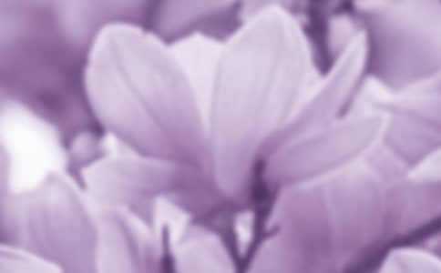 ���������m�����꼉����300��