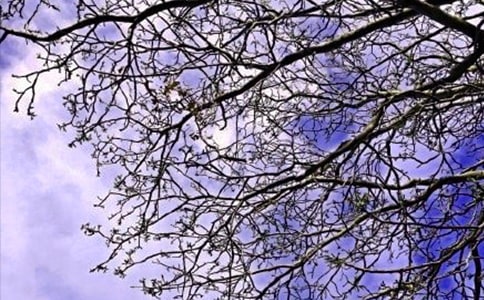 唯美早安文案匯總130句精選