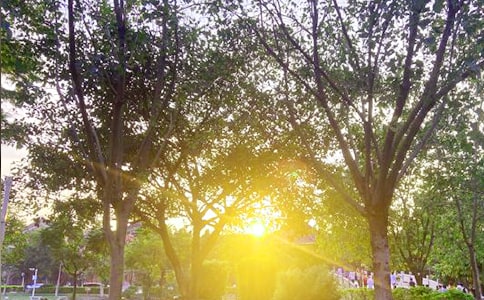 ����Ψ���簲�İ���ȫ�����x140�䣩