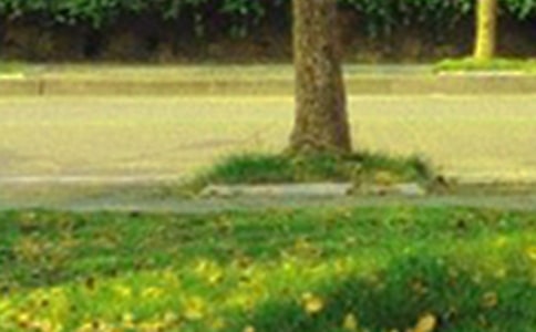 簡(jiǎn)短唯美早安文案(精選215句)