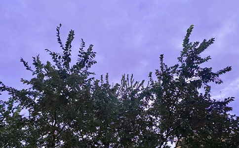 ��(j��ng)��Ψ���簲�İ�85�侫�x