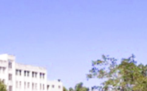 常用唯美早安文案大全(精選115句)