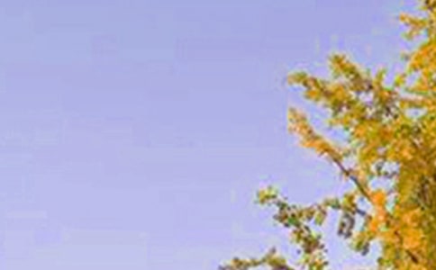 ����Ψ���簲�İ�100��