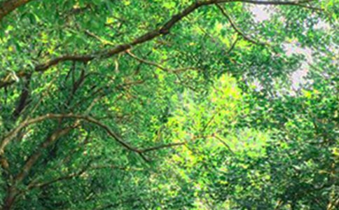 經典唯美早安文案190句