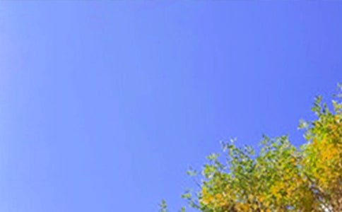 簡單唯美早安文案匯總50句精選