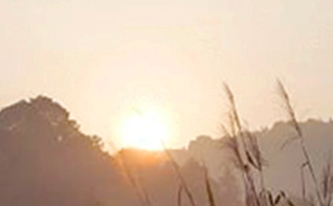 唯美早安文案匯總90句精選