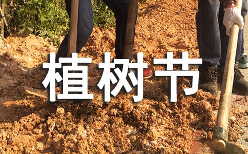 �P��ֲ�九ף������Ȧ�İ������x180�䣩