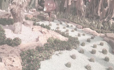 游植物園五年級日記250字