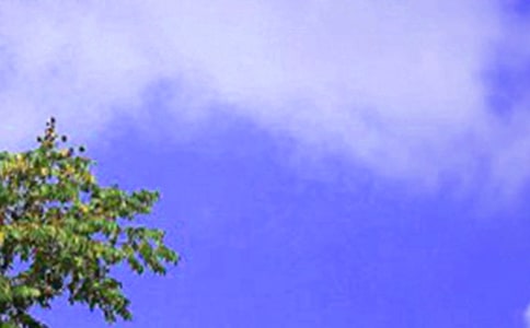 有關中午好心語摘抄