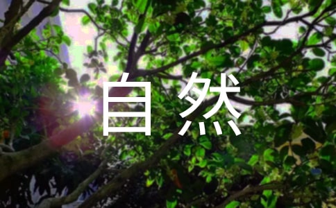 筆記大自然的讀后感