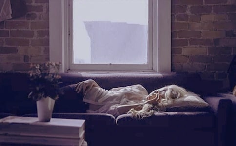 做夢的狗優秀作文800字