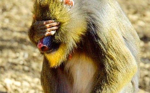 ������600������