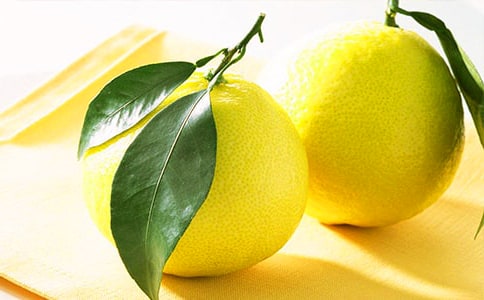 ���x�茑��������8ƪ