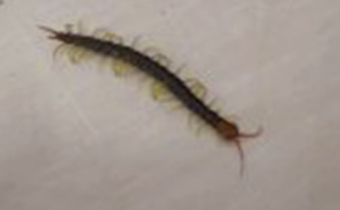 ��򼸂�ߴ���w���̰�