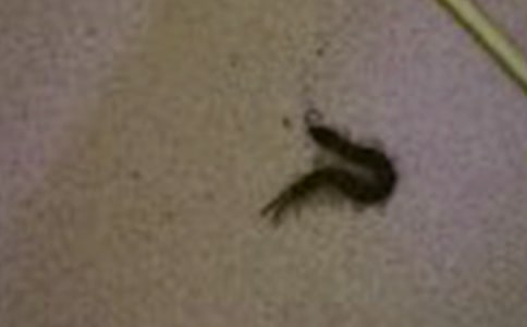 �������ģ����x27ƪ��