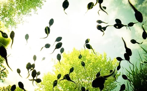 ���꼉�σԡ�С����ҋ������̌W��˼