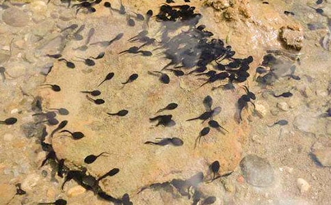 [��]С�������