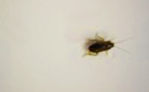 ���Y��놖�}��Ӣ���~�Z������