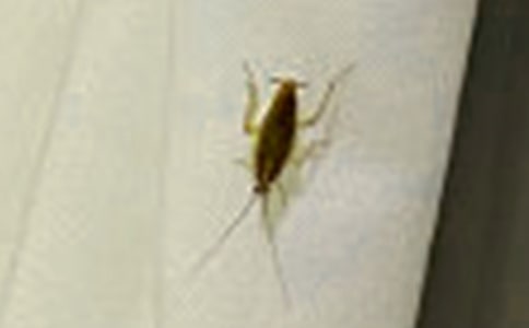 [���A]�������400��8ƪ